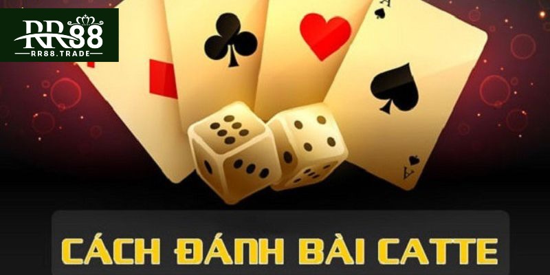 Hướng dẫn cách chơi Catte online đơn giản