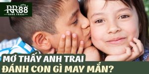 mơ thấy anh trai ruột đánh con gì